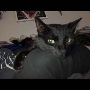 Meet your Posher, Bridgette